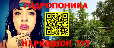 спайс Тара