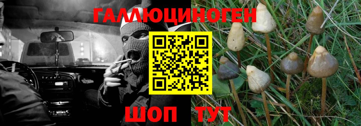 Псилоцибиновые грибы ЛСД Нефтеюганск